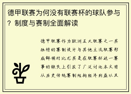 德甲联赛为何没有联赛杯的球队参与？制度与赛制全面解读
